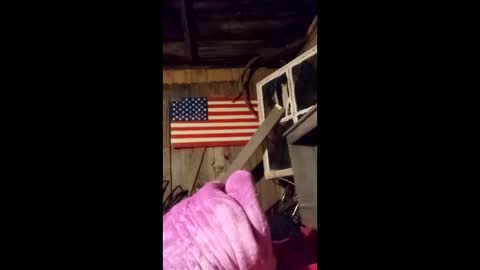 wowsers7 online show from March 2026 04:40:02 AM