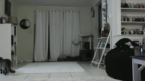 Crystal Lake online show from January 2025 05:28:02 AM