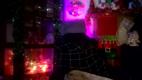 Snapshot of wscooter1 chatting on November 2025 06:19:02 PM SCOOTER online show from November 2025 06:19:02 PM