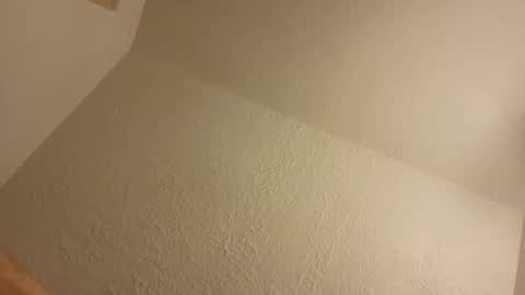 BONER DONOR online show from October 2025 11:40:01 AM