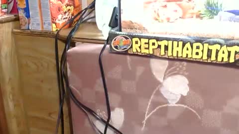 x2kayx2 online show from January 2026 09:42:02 PM