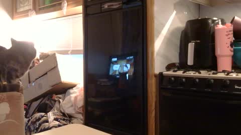 x2kayx2 online show from February 2026 01:05:02 PM