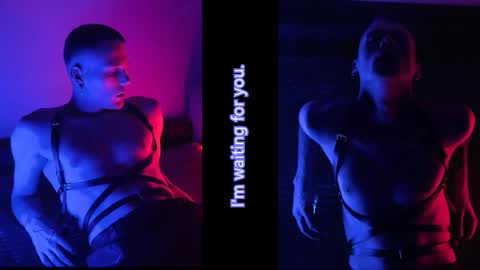 xavier_night81 online show from October 2025 08:27:05 AM