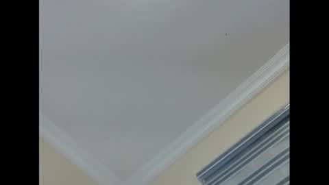 xcreamypussy online show from January 2025 10:17:01 PM