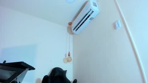 Genesis online show from January 2025 11:55:02 PM