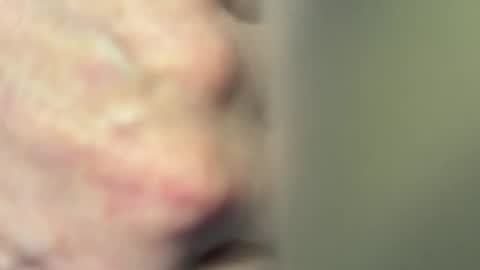 Dada online show from April 2026 01:09:02 PM