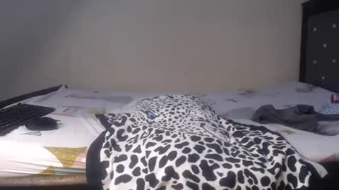 Xoe online show from February 2026 05:25:02 AM