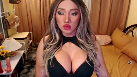 cinddy online show from April 2026 04:49:01 PM