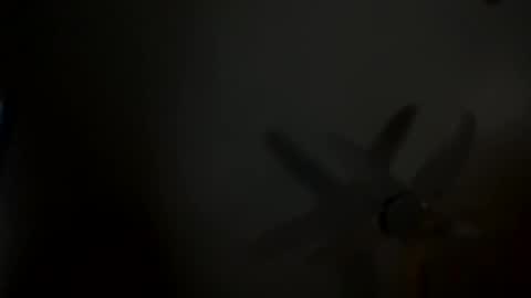 x online show from February 2025 02:55:02 PM
