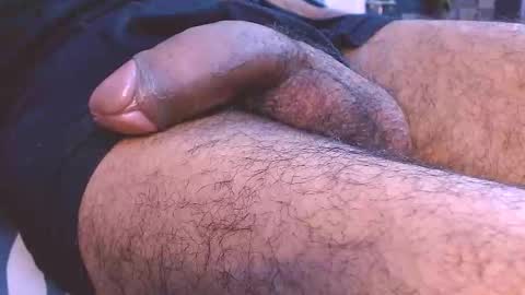 Prince online show from February 2026 06:03:02 PM