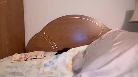 xxfredmtl18xx online show from December 2025 11:15:01 AM