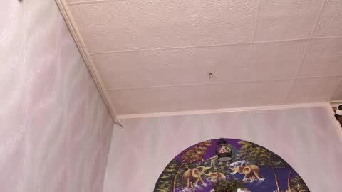 isa and gonzo online show from December 2025 04:39:02 AM