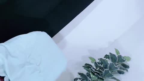 yams_kitty69 online show from November 2025 08:08:01 PM