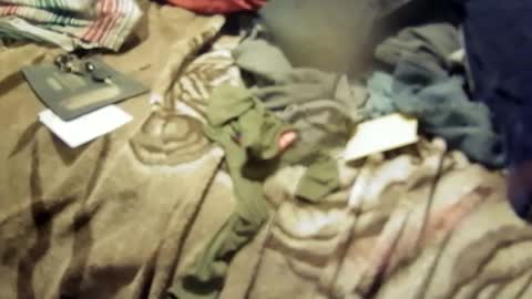 yangolox3 online show from March 2026 02:31:02 PM