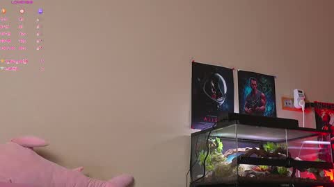 Yara online show from April 2026 10:46:02 AM