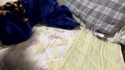 Snapshot of yasarsimo99154258 chatting on February 2026 12:09:01 AM yasarsimo99154258 online show from February 2026 12:09:01 AM