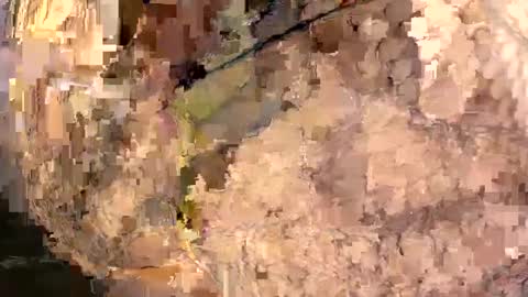 yasminfol online show from March 2025 02:26:01 AM