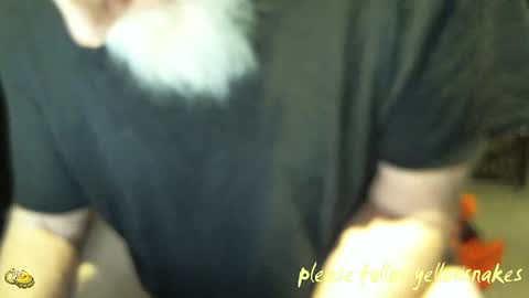 .     y e l l o w s n a k e s       . online show from January 2026 01:50:01 PM