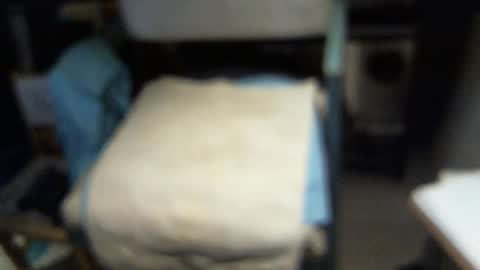 .     y e l l o w s n a k e s       . online show from February 2026 04:43:02 AM