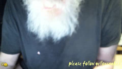 .     y e l l o w s n a k e s       . online show from February 2026 09:57:02 AM