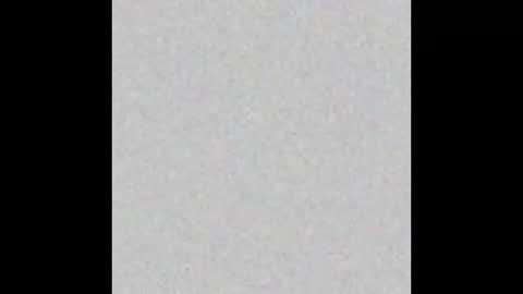 .     y e l l o w s n a k e s       . online show from March 2026 07:12:02 AM