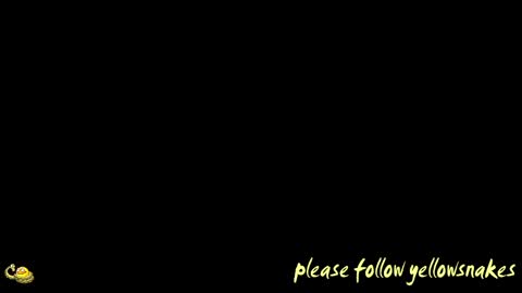 .     y e l l o w s n a k e s       . online show from April 2026 11:17:01 AM