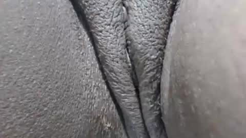 yirily online show from March 2026 05:34:02 AM