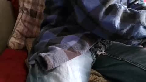 kindahorny online show from April 2026 08:09:01 PM