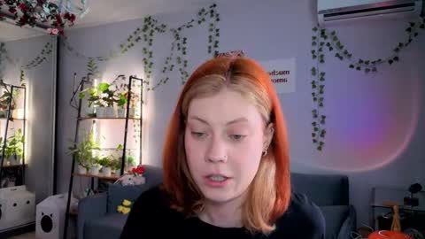 your_corvus online show from April 2026 08:01:02 AM