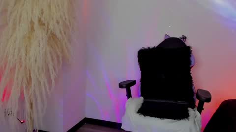 Cami independent model online show from February 2025 02:45:02 PM