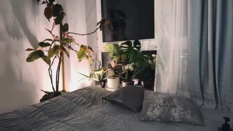 Aida online show from March 2025 03:13:02 PM