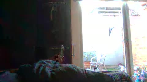 yourpersonalgeniusl online show from November 2025 12:05:02 PM