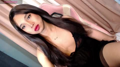 Stella online show from April 2026 04:37:02 PM