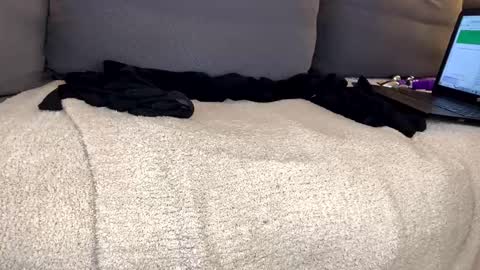 Alison online show from January 2025 08:10:02 PM