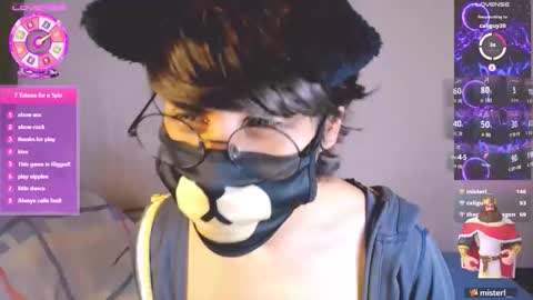 the puppy boy online show from March 2026 04:08:01 AM