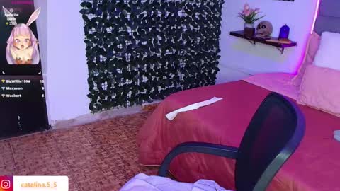 Kata online show from October 2025 06:41:02 PM