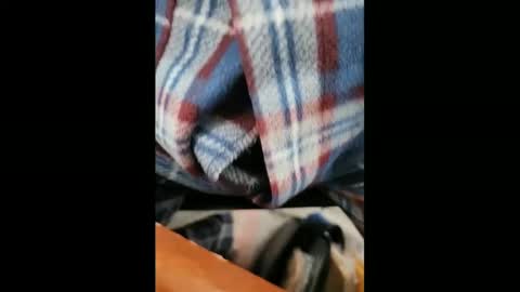 yuppers1234 online show from February 2025 06:37:02 PM