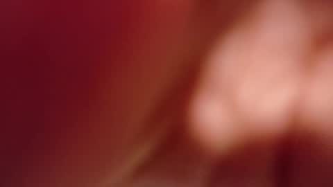 Hi My name Yuriko online show from October 2025 11:31:02 AM