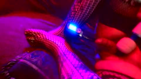 Z0RL0C online show from October 2025 05:38:01 AM