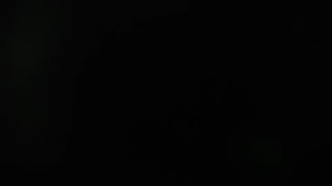 KAAL online show from December 2024 12:12:02 PM