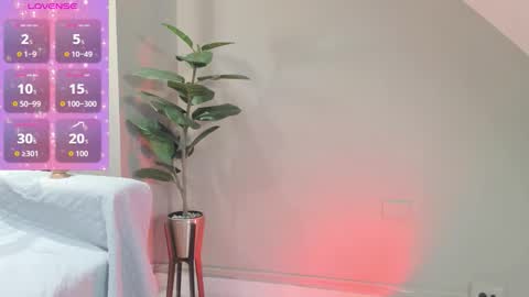 Zary online show from November 2025 12:17:01 PM