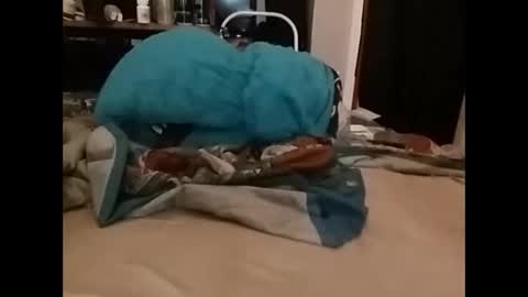 Snapshot of zeroandhero chatting on December 2024 03:36:02 PM zero online show from December 2024 03:36:02 PM