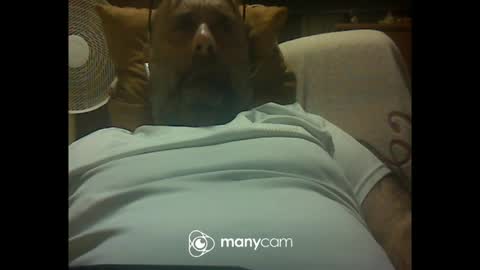 zeusdioss online show from July 2026 12:48:02 AM