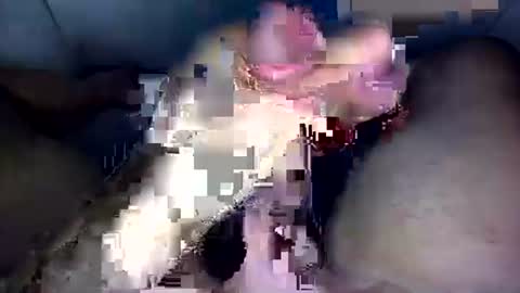 Snapshot of zezin1 chatting on September 2025 03:30:02 AM zezin1 online show from September 2025 03:30:02 AM