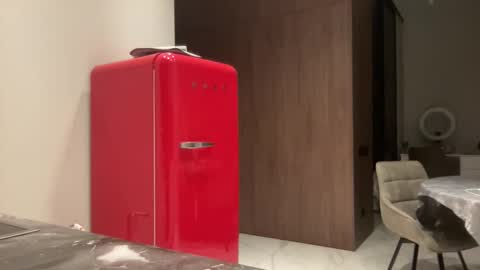 Snapshot of zidya06 chatting on November 2025 04:08:02 PM Nensi online show from November 2025 04:08:02 PM