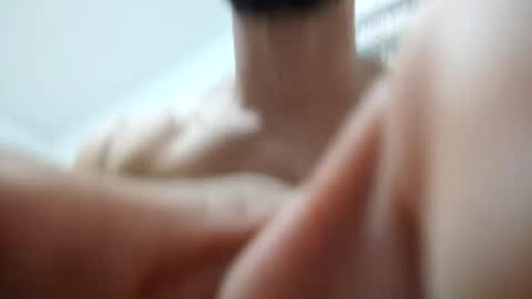 zigfrid666 online show from June 2026 01:45:02 PM