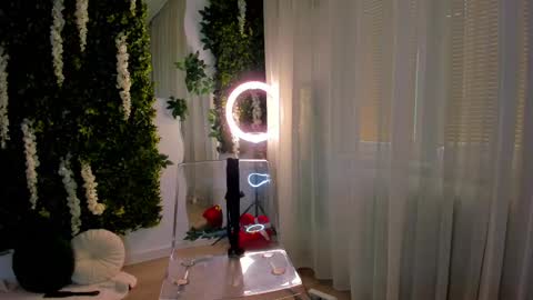 Galli online show from February 2025 07:23:02 AM