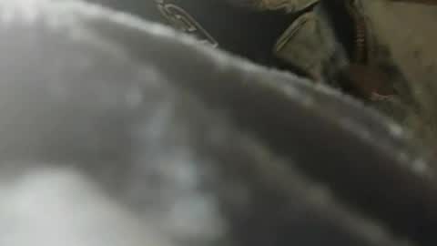 bigdickdaddy online show from July 2026 01:03:01 PM