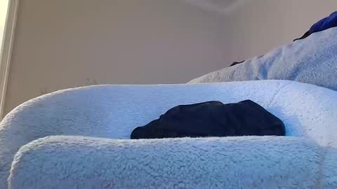 zymase online show from April 2026 09:54:01 AM