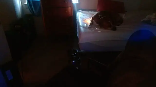 DADDY KANE8--- online show from January 2026 09:29:01 PM